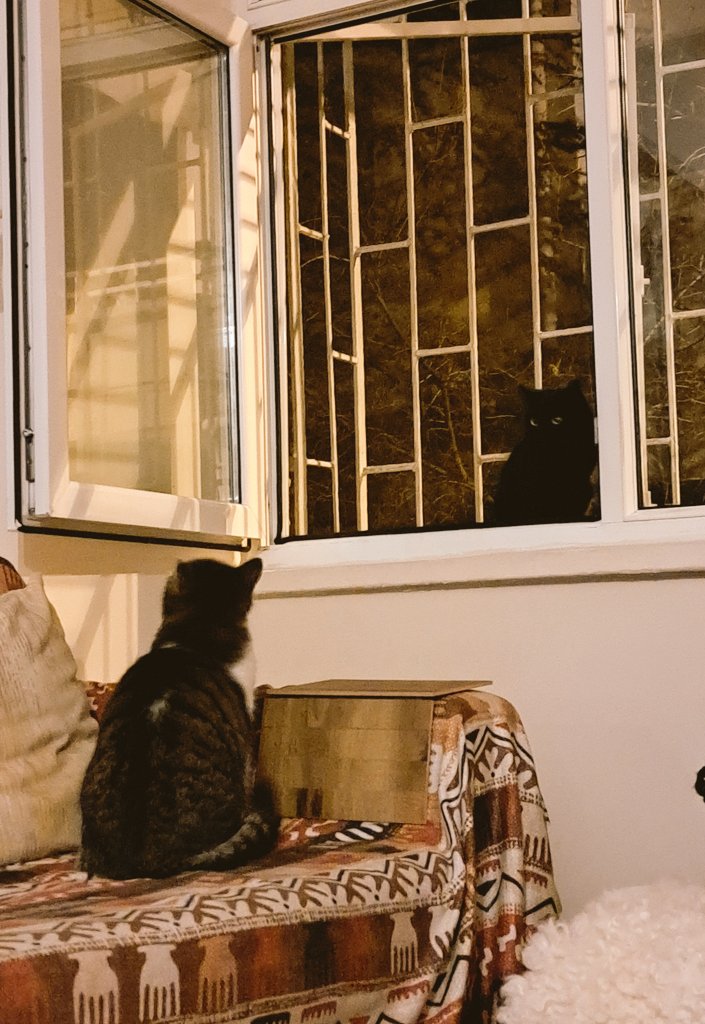 "Sevgi sabırlıdır, sevgi şefkatlidir. Sevgi kıskanmaz, övünmez, böbürlenmez. Sevgi kaba davranmaz, kendi çıkarını aramaz, kolay kolay öfkelenmez, kötülüğün hesabını tutmaz. Sevgi haksızlığa sevinmez, gerçek olanla sevinir." 
1. Korintliler 13: 4-8