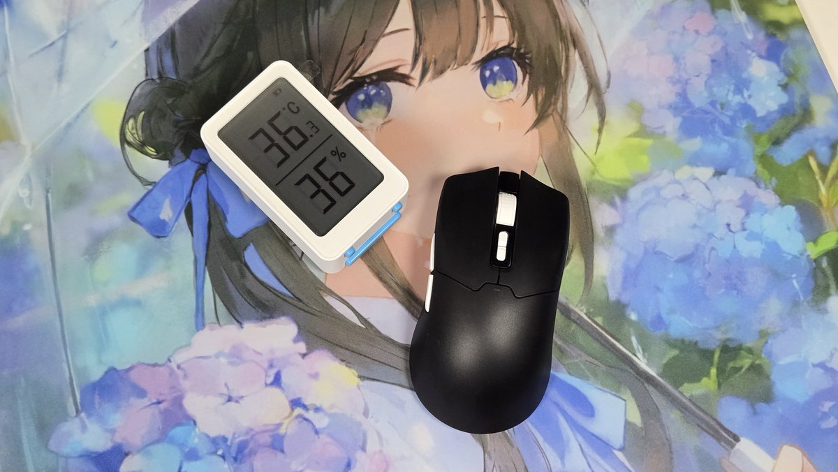 nonnbiri/ふじ丸🐈 tweet media