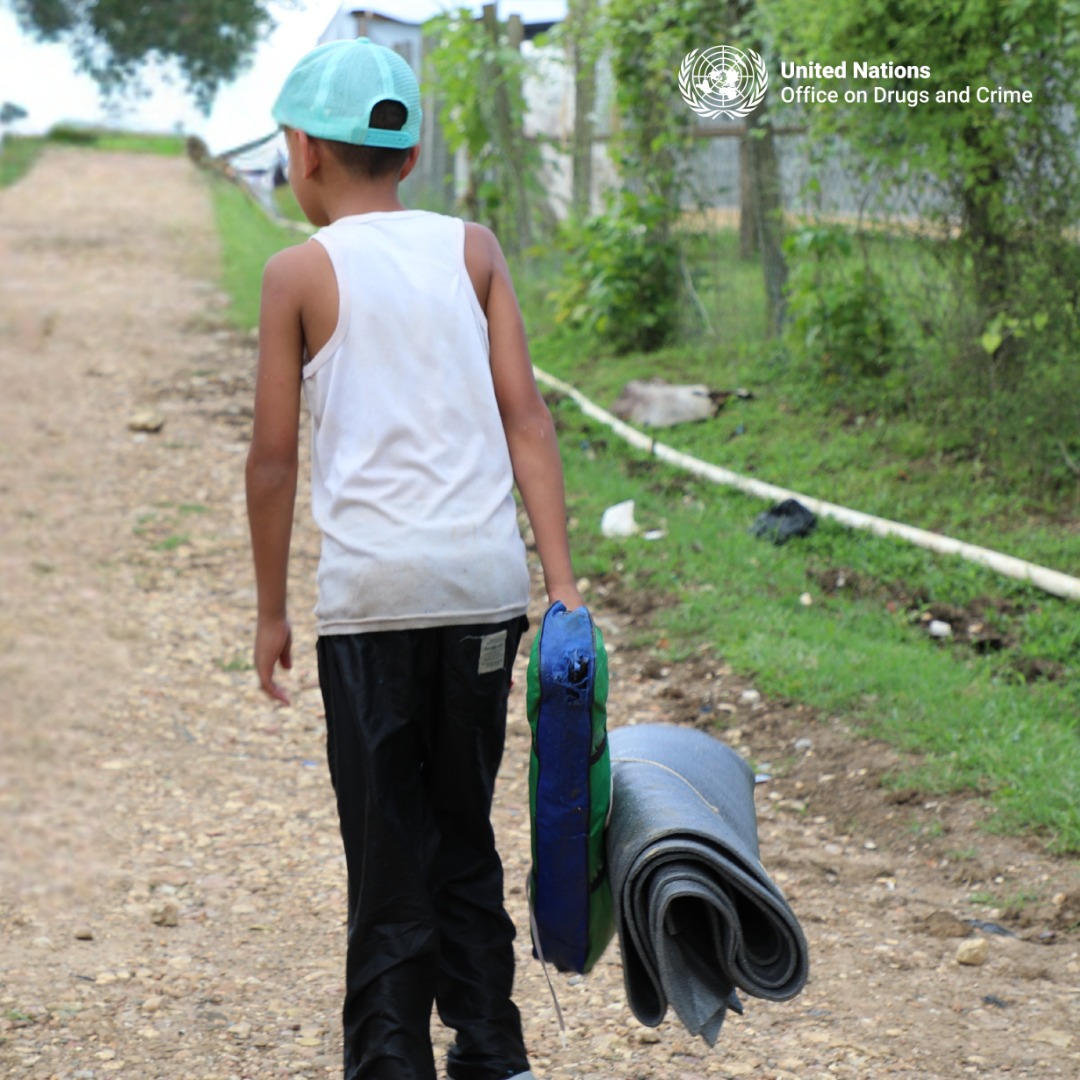 UNODC_OrgCrime's tweet photo. Children forced to grow drugs.

Children forced to sell drugs.

Children forced into drug cartels.

This can be human trafficking for forced criminality. 

We must stop it!

#CND69