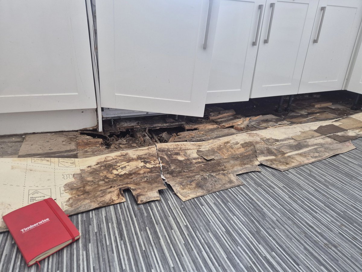 Timberwise tweet media