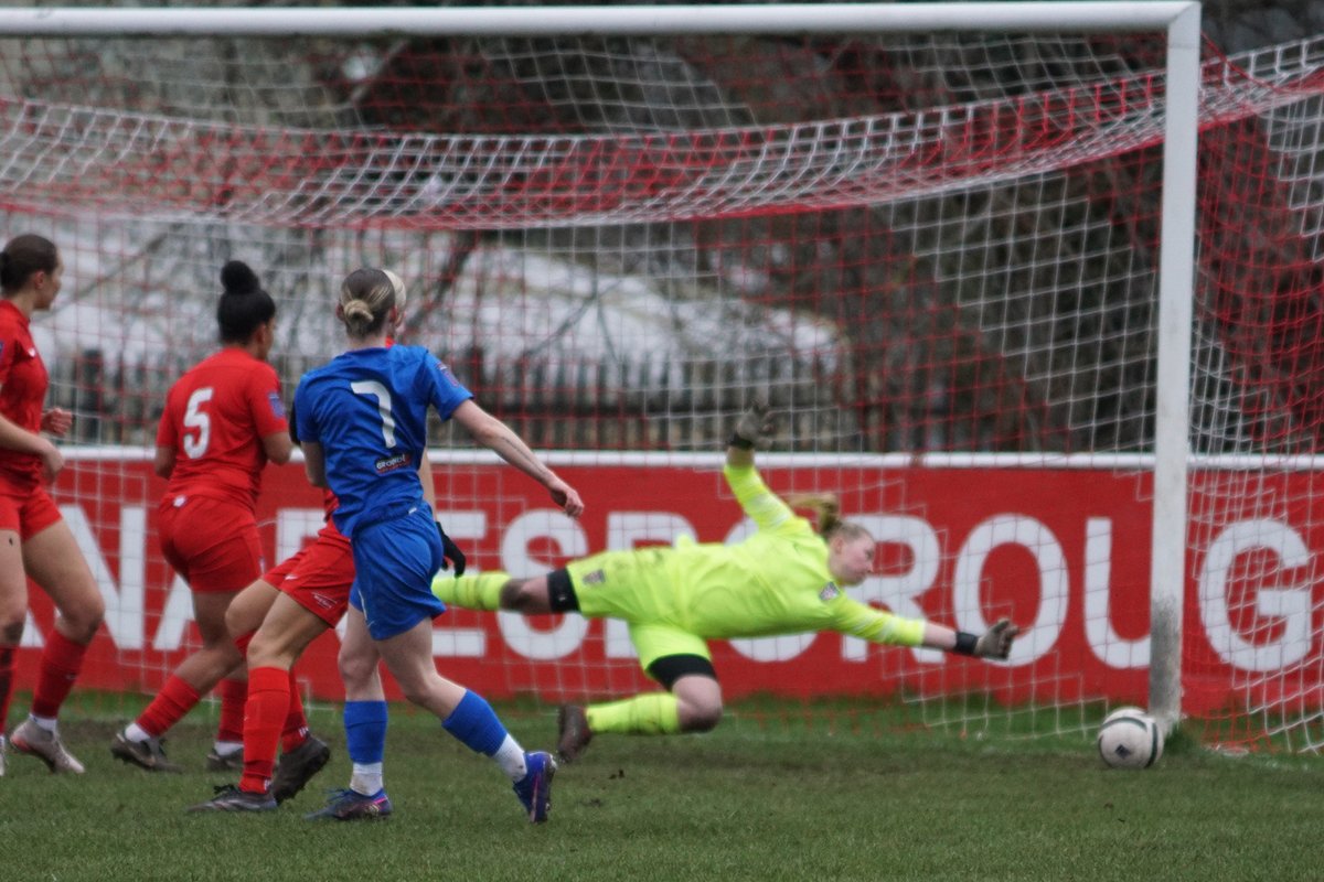 York City Ladies FC tweet media