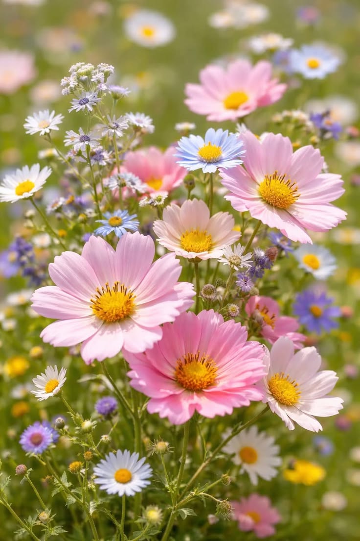 Simona 💝 tweet media