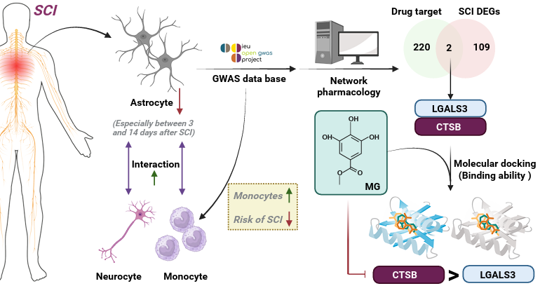 Spinal Cord Journal tweet media