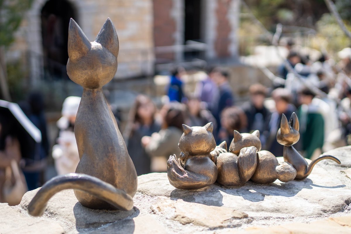 カリンさん tweet media