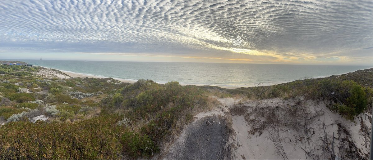 Jeff Imrie tweet media