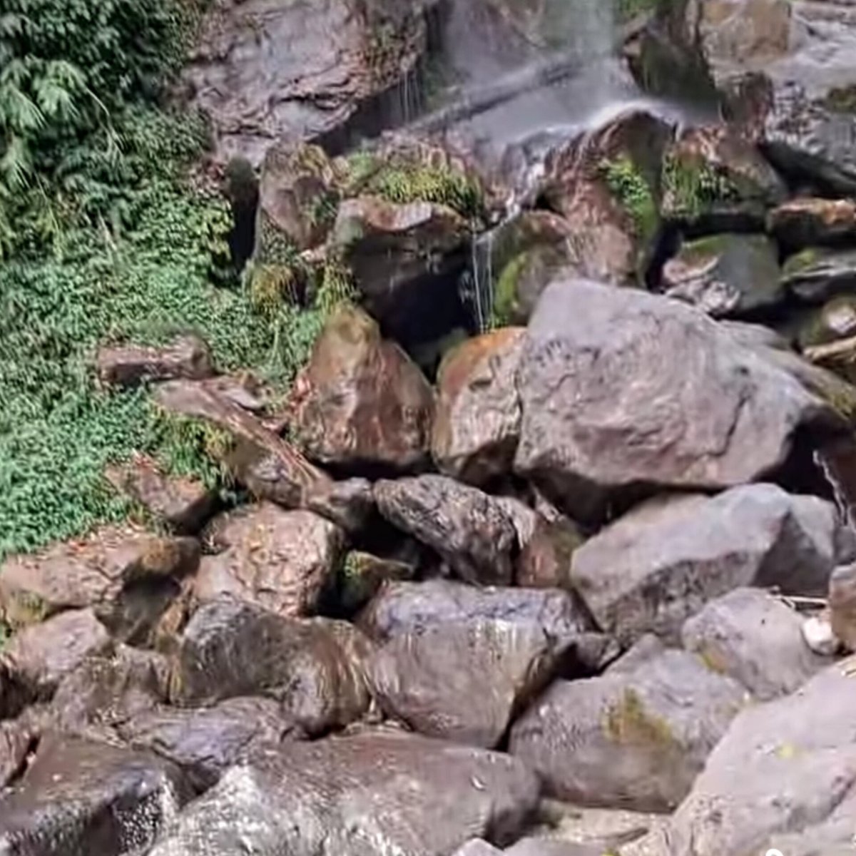 nidhi_fan1144's tweet image. Keeping yourself happy is the biggest challenge in life❤. for a few days. just stay busy with yourself. the more distance you keep from people the more peace you'll find in life 🧿

#LifeGoals 
#enjoytheview