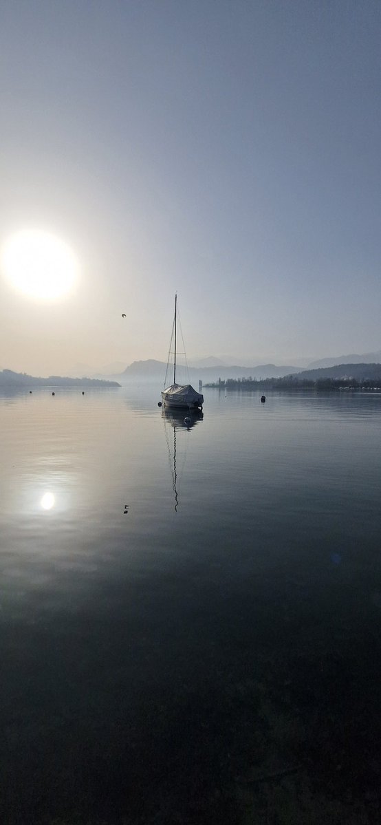 Hene Power tweet media