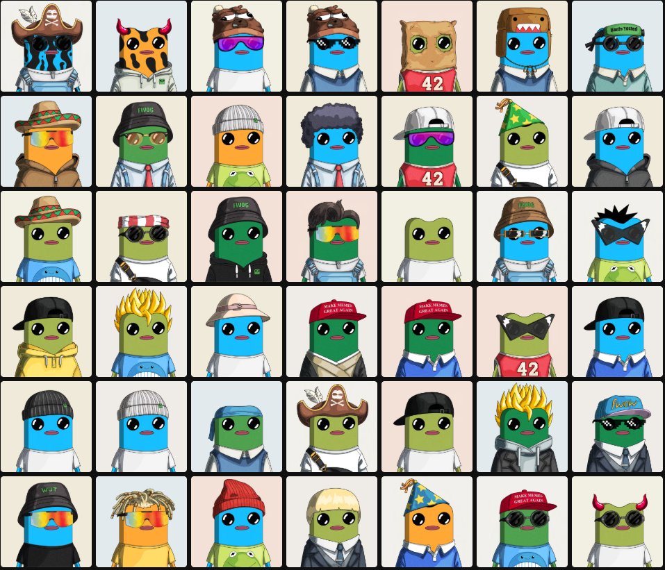 United Fwog Organization tweet media