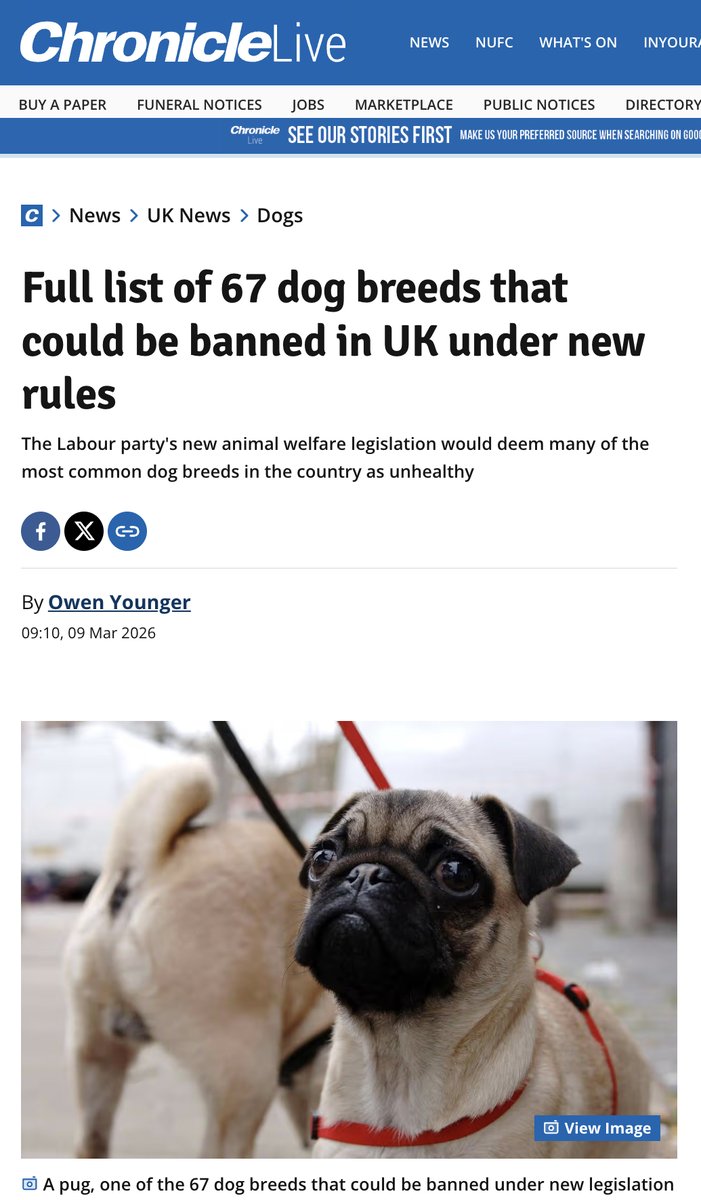 Cllr Lewis Bartoli - Tynemouth ward Councillor tweet media