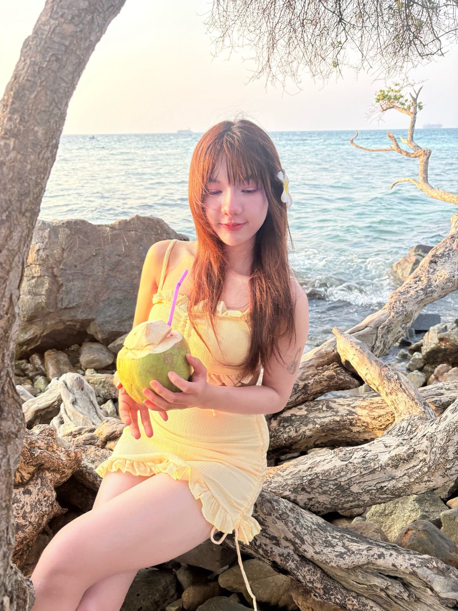 Maple.Theglassgirls tweet media