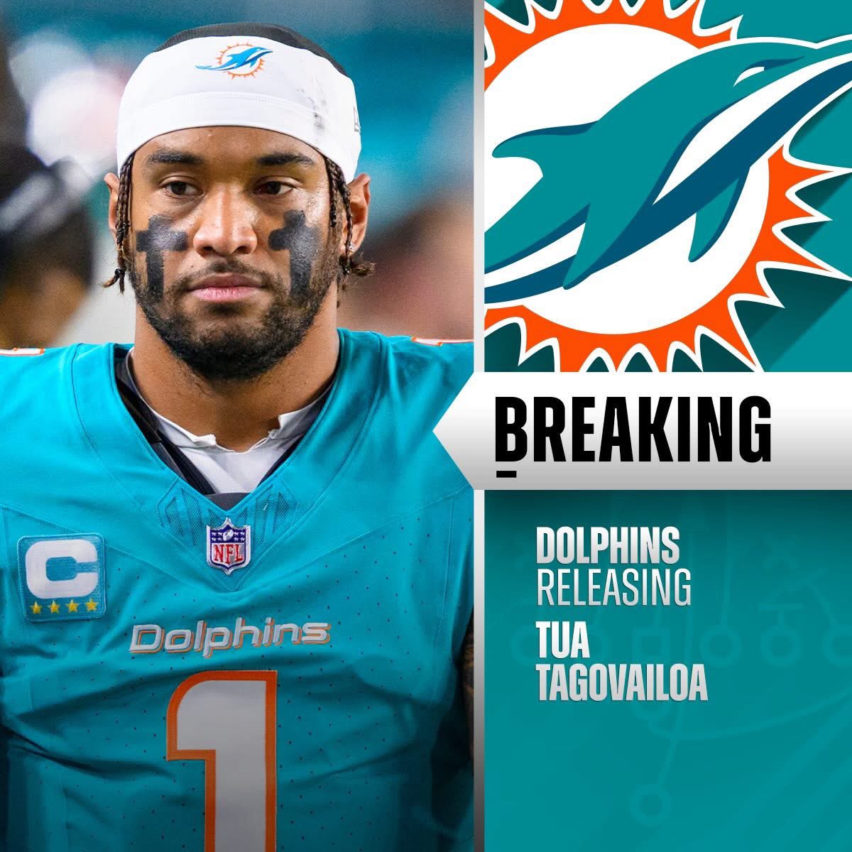 Dolphreaky tweet media