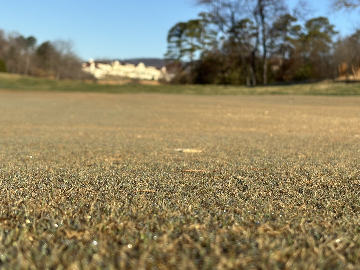 Troy Fink tweet media