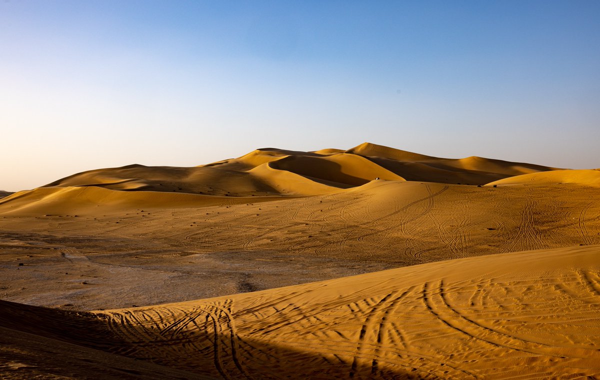 Untamed Borders tweet media