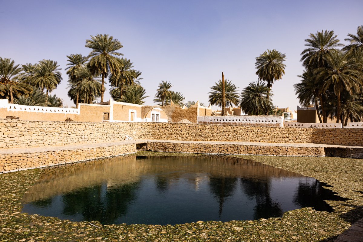 Untamed Borders tweet media