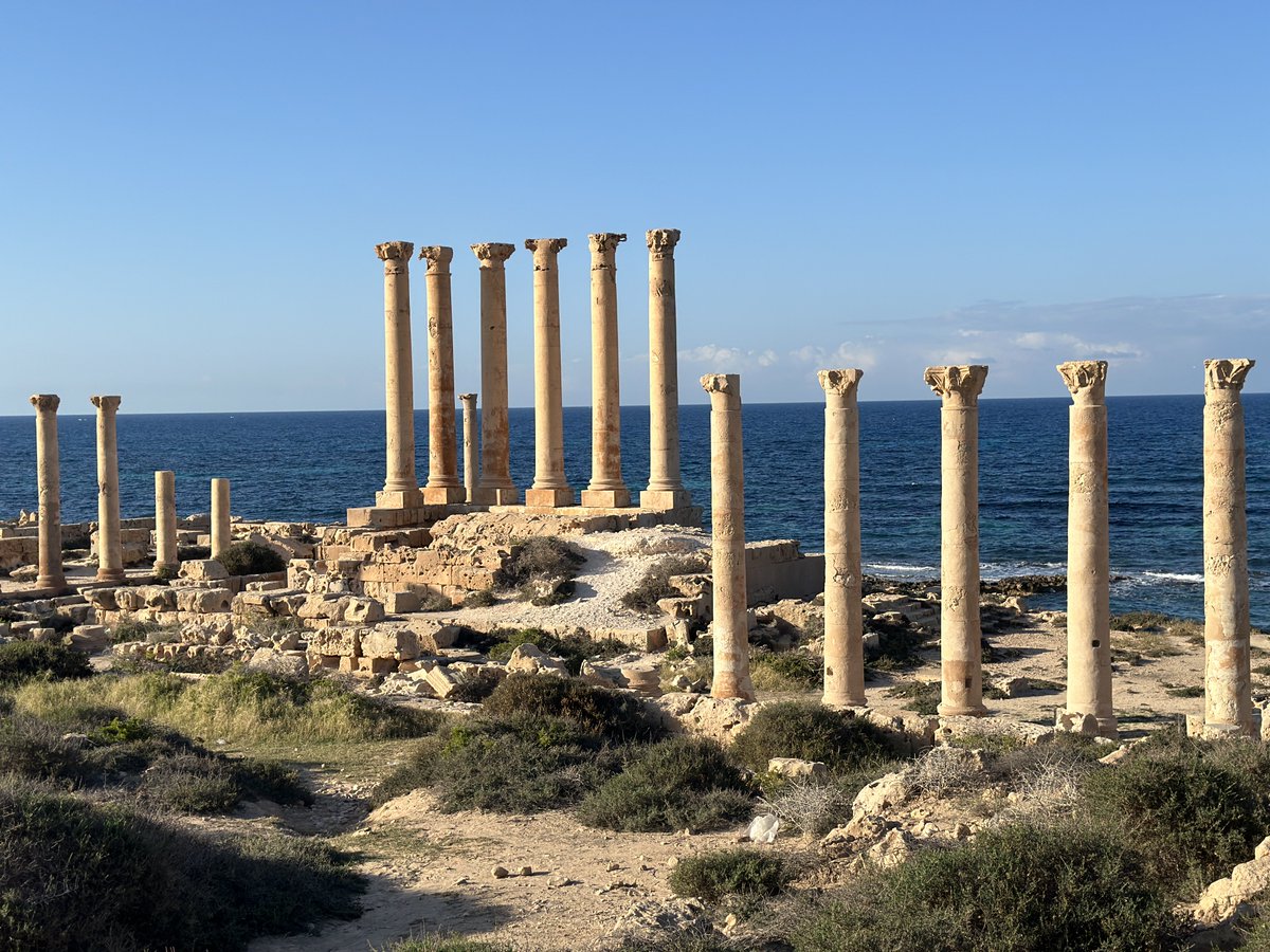 Untamed Borders tweet media