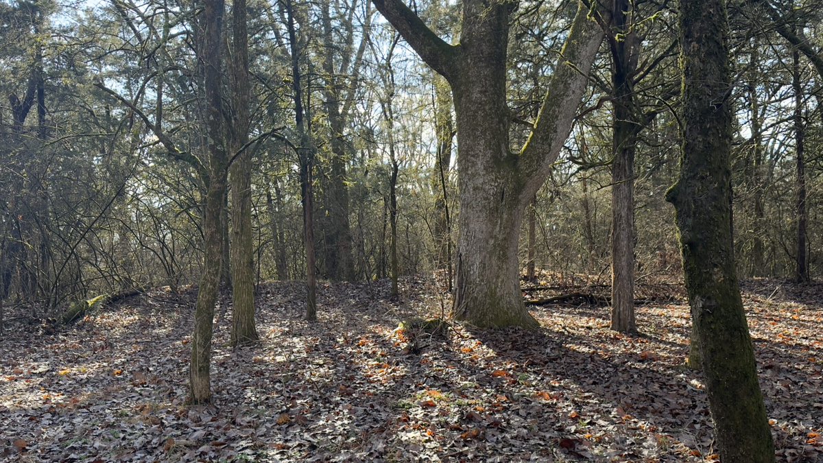 The Civil War Monitor tweet media