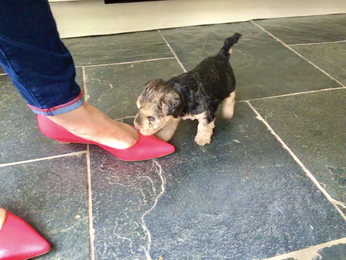 Bertie Lakeland tweet media