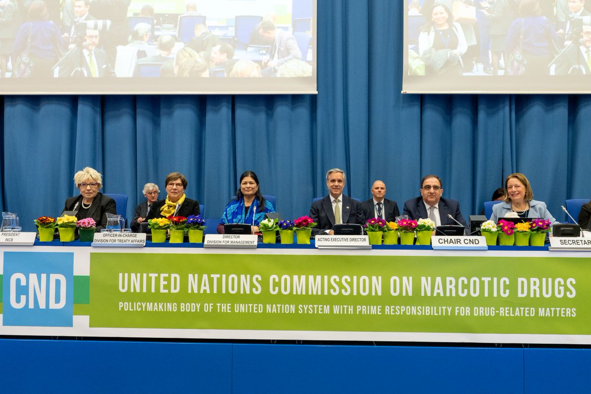 UN_Vienna's tweet image. The intl. community is demonstrating its commitment to addressing the word drug problem at #UNVienna this week with 127 Member States &amp;amp; nearly 200 NGOs taking part in the discussions. Transforming needs &amp;amp; priorities into coordinated global responses #CND69
webtv.un.org/en/asset/k1g/k…