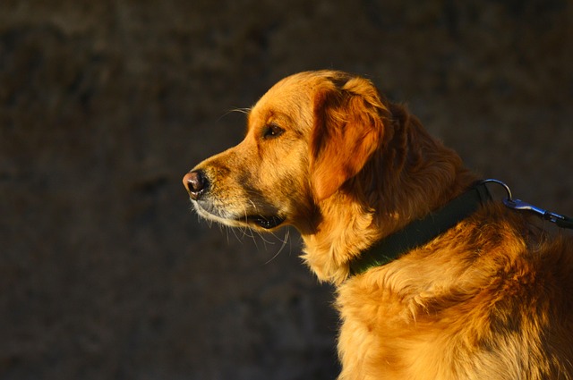 Jerry Lesperance tweet media