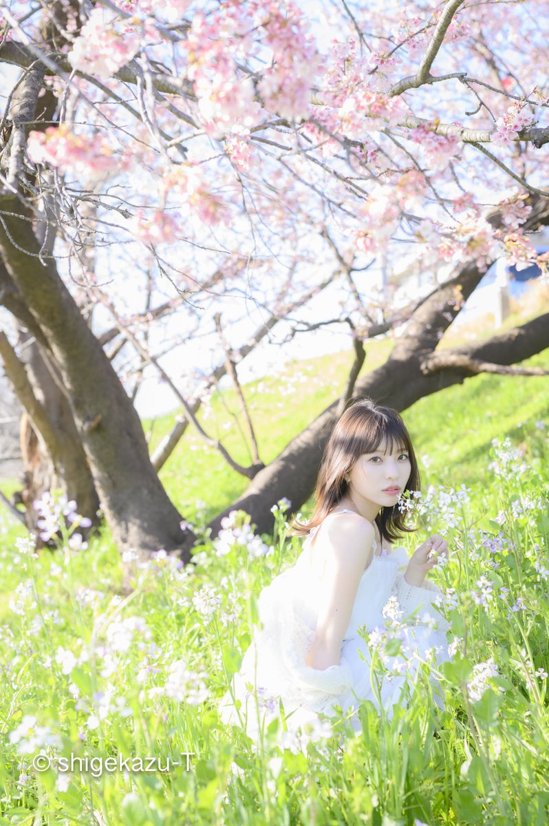 ちさ 62-3842-44 1000μL チップ クリア 交換プレート 1箱（96本×10枚入