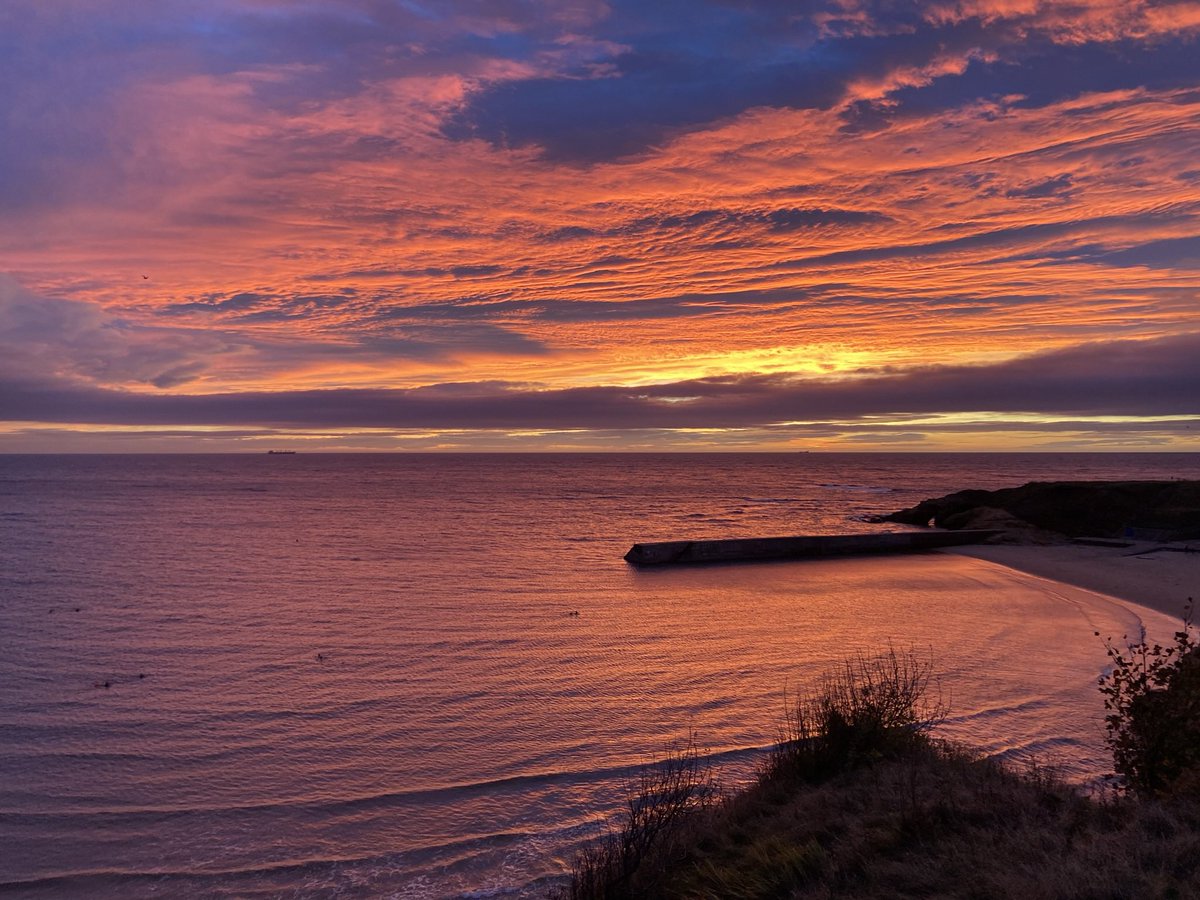 Simon Bewick tweet media