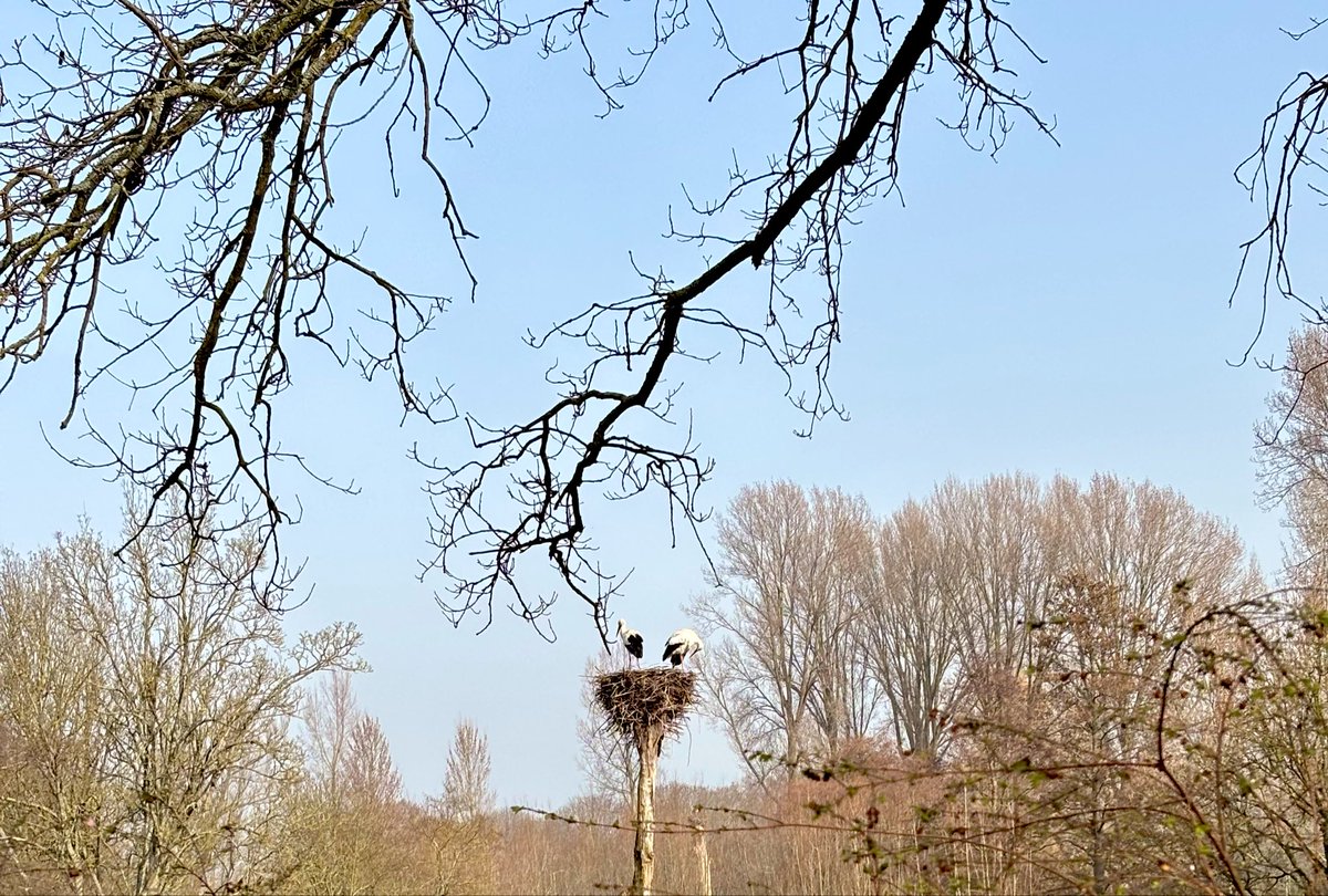 You'll Never Walk Alone tweet media