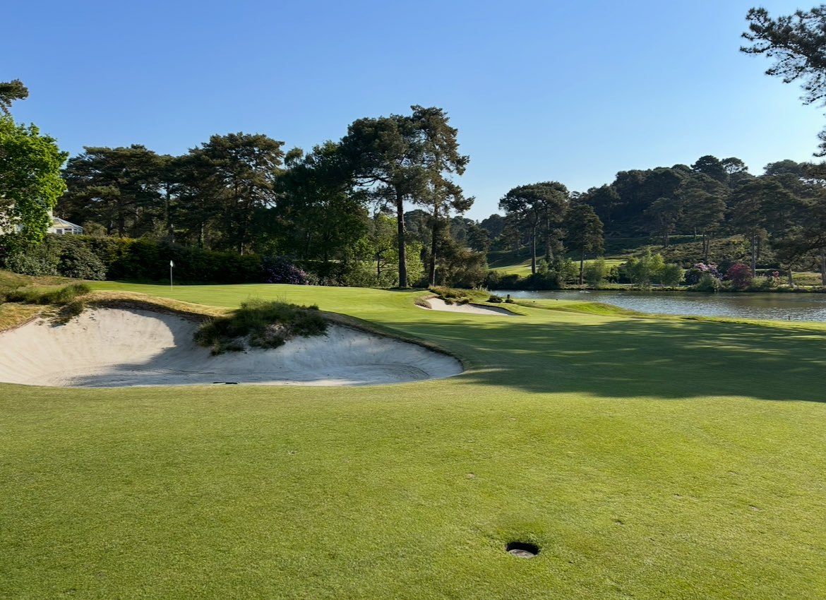 Grant Peters tweet media