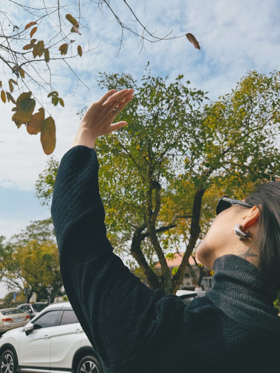 女明星 tweet media