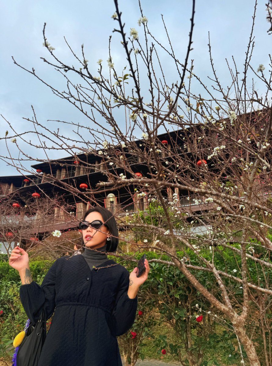 女明星 tweet media