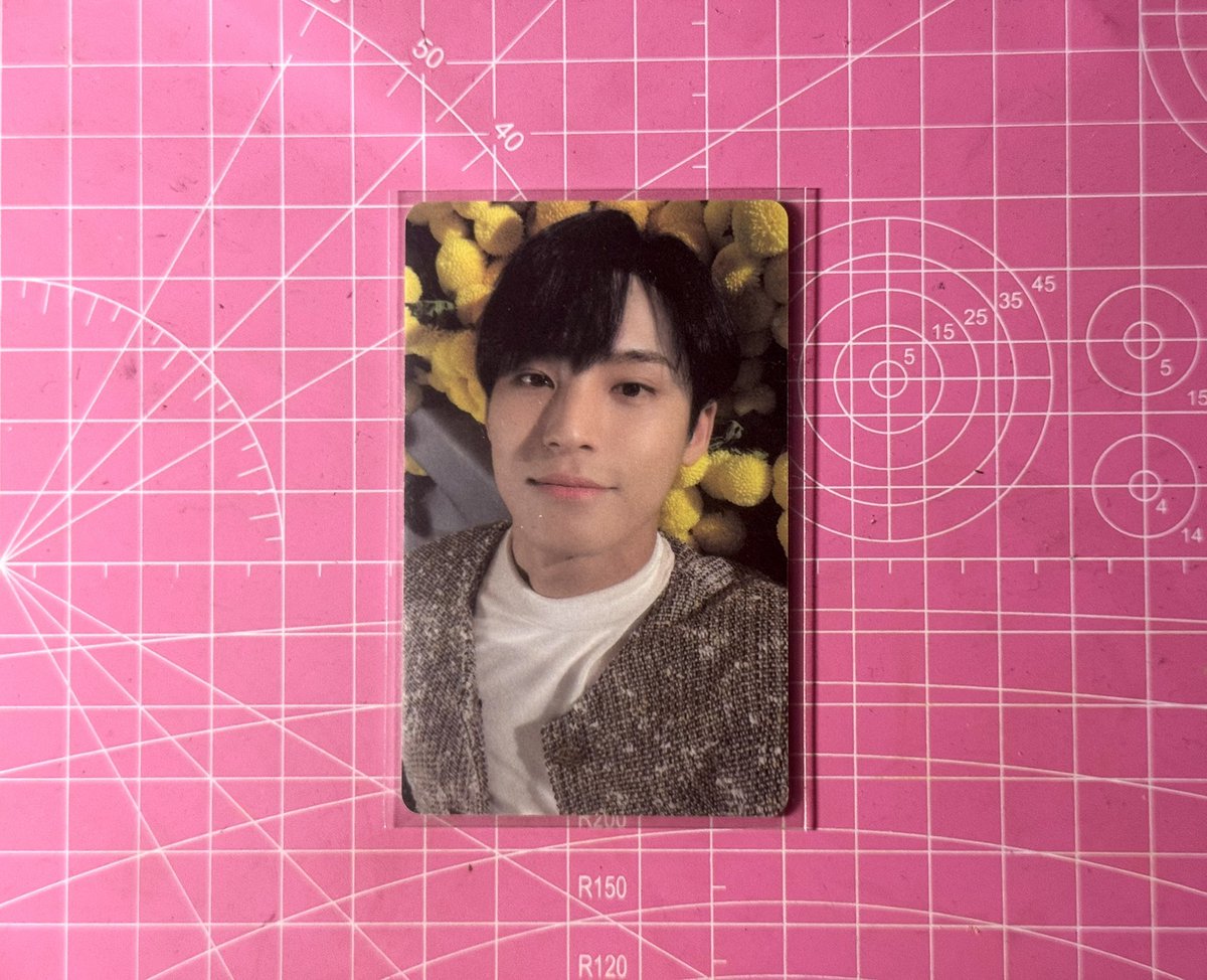 leslie! 🍀 tweet media