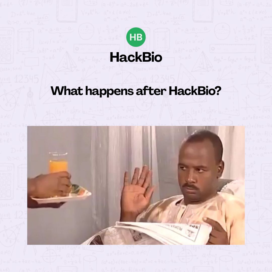 HackBio tweet media