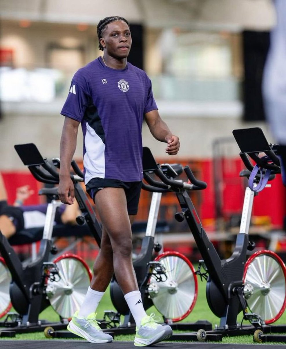 BrunoUTD tweet media