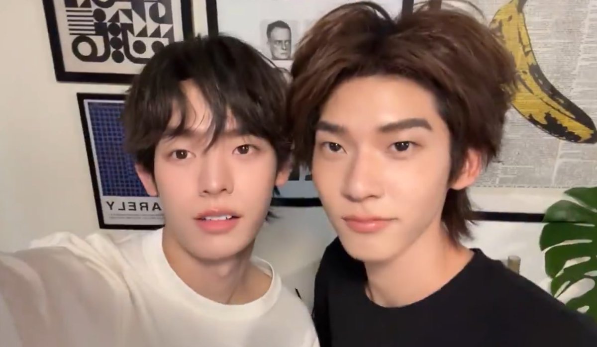 ใครพอกผิว มานิต้า