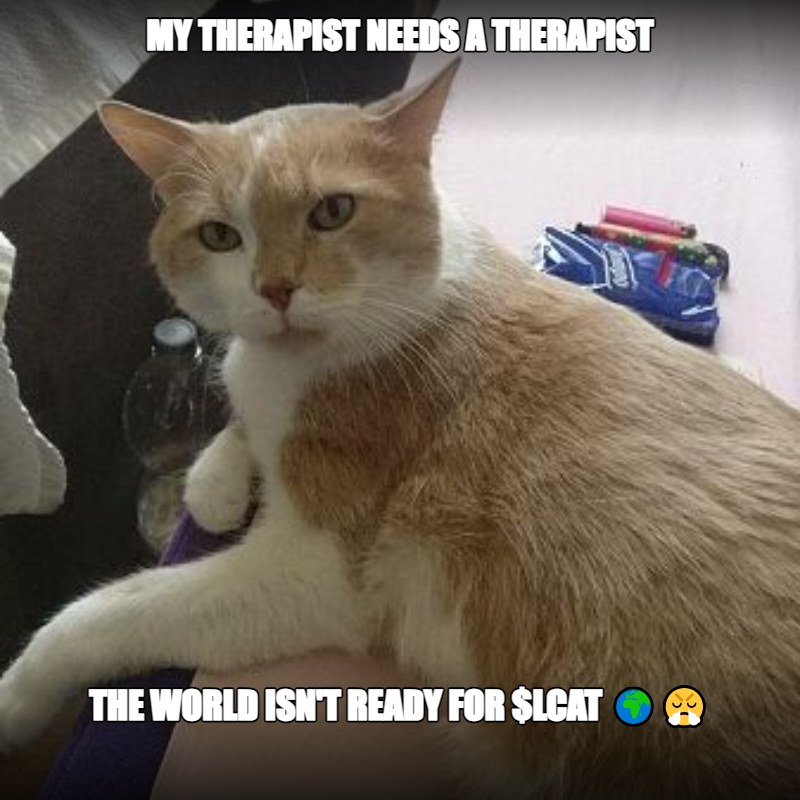 LazyCatPLS's tweet photo. MY THERAPIST NEEDS A THERAPIST
THE WORLD ISN'T READY FOR $LCAT 🌍😤
$LCAT 🐱 The laziest cat on @PulseChainCom
🔗 https://t.co/U719pUC9yD
#LCAT #PulseChain #Memecoin #LazyCat https://t.co/mpuig9Efrm