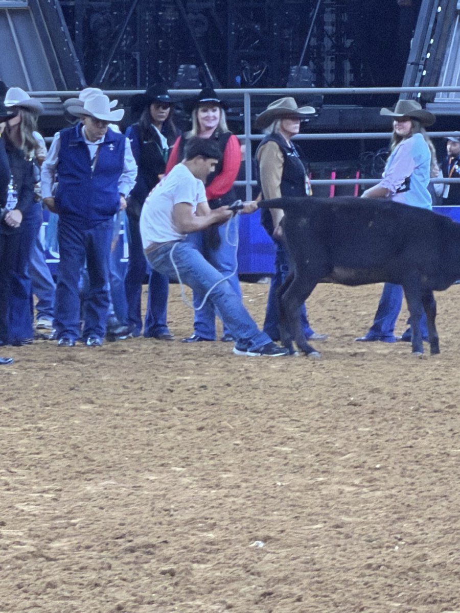 Westfield Mustang Sports Medicine tweet media