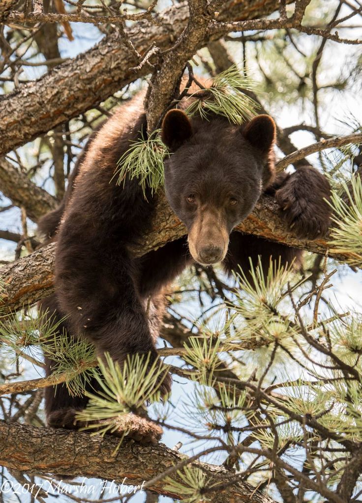 Dakota Scott (@dakotascottblue) on Twitter photo 