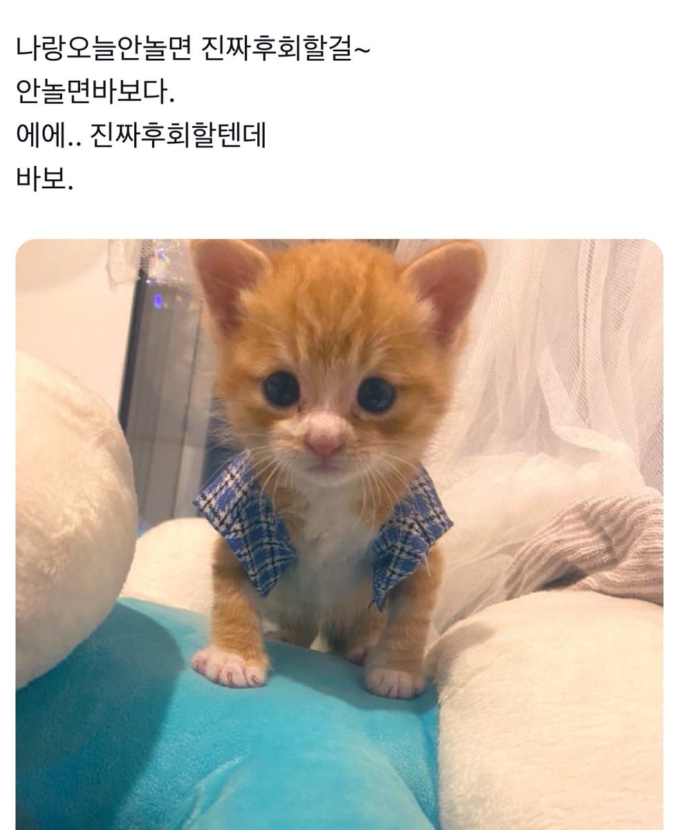 계정잠긴 벌문 (@vermo_on312) on Twitter photo 