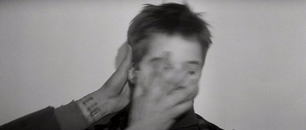 cinemariviera tweet media