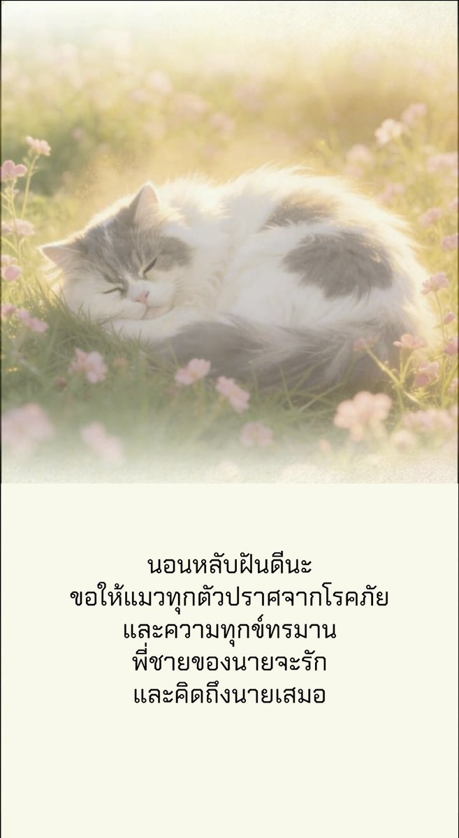 JINLONGGUO_TH tweet media