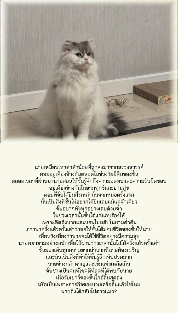 JINLONGGUO_TH tweet media