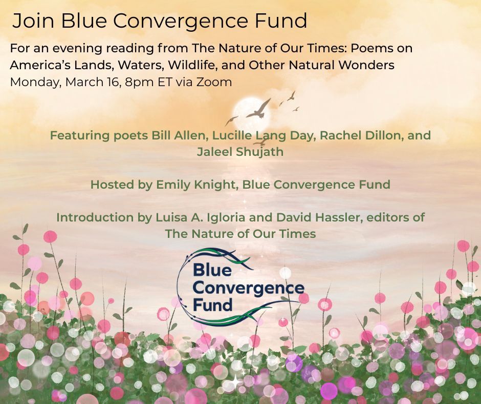 Warren Wilson MFA tweet media