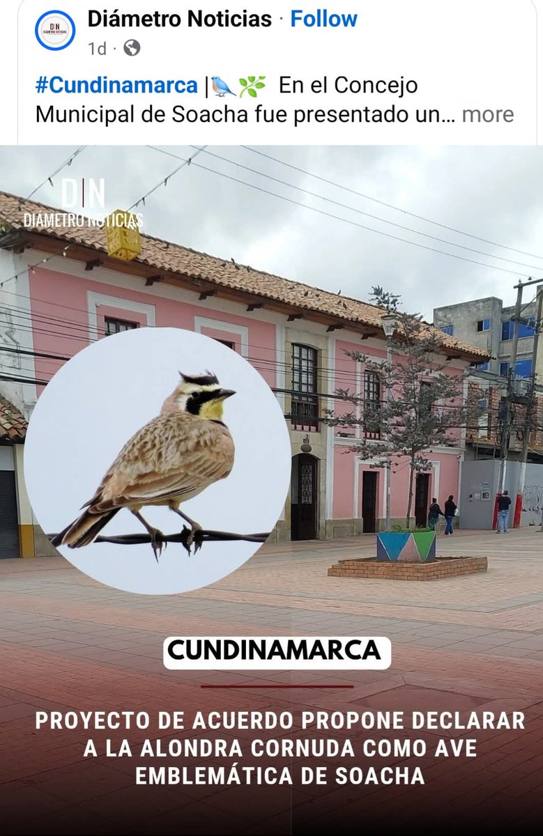 Germán Ignacio ANDRADE tweet media