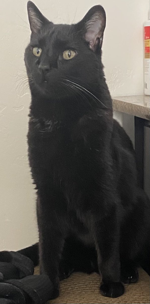 DookiePlanet tweet media