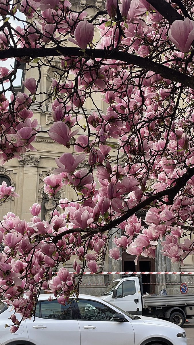 Катя в Лягушатии tweet media