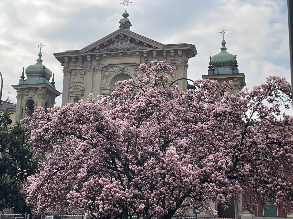 Катя в Лягушатии tweet media