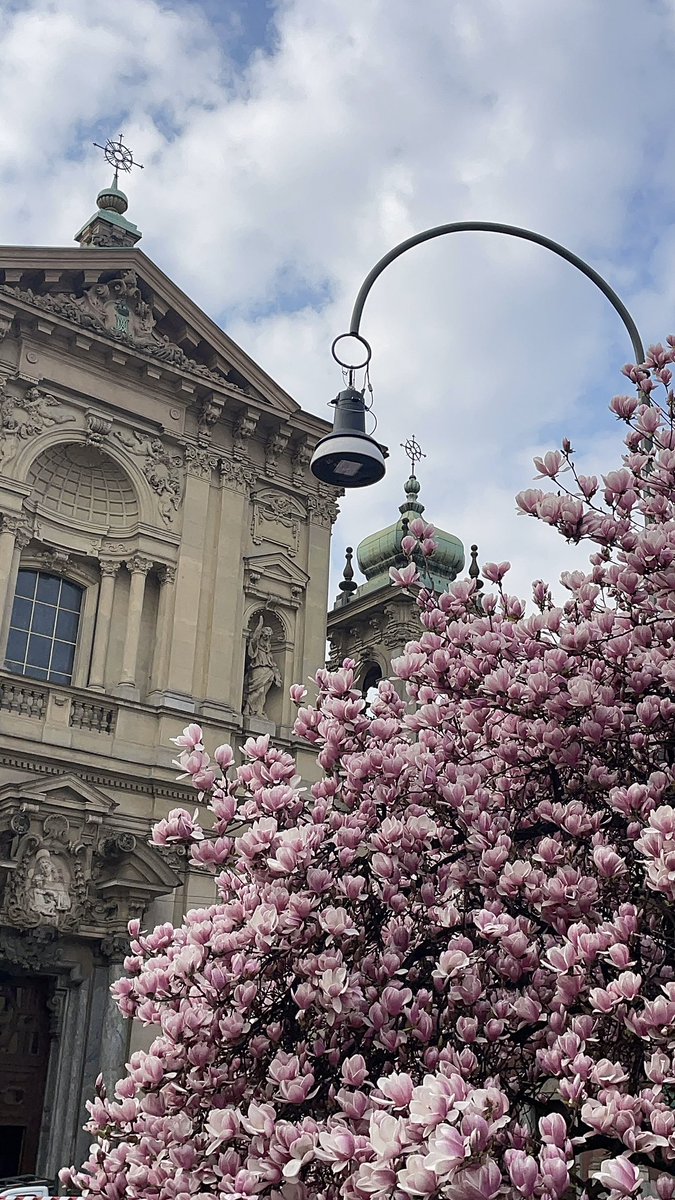 Катя в Лягушатии tweet media