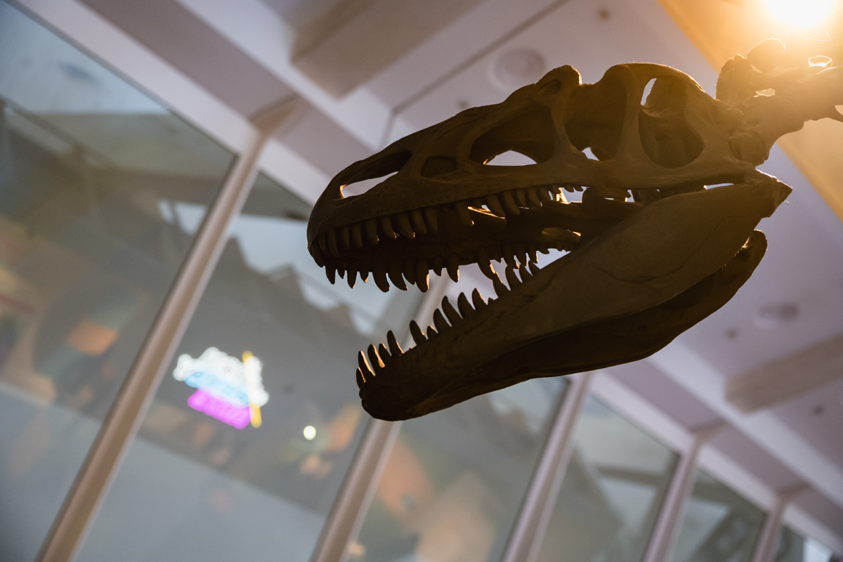 CACiencies's tweet image. Esta exposición funciona como una invitación a lo que puedes descubrir dentro del #MuseudelesCiències

Módulos interactivos y expositivos en una zona gratuita para mostrar la ciencia y el conocimiento de forma lúdica

#Gratis #CONCIENCYARTE