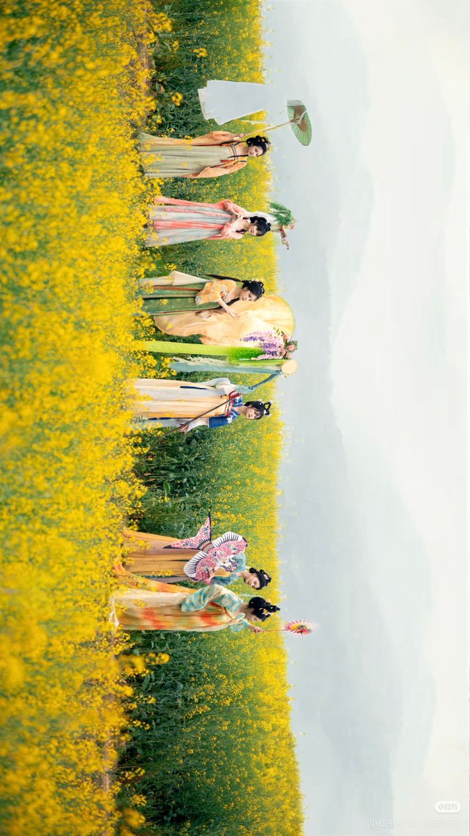 不会飞的猫（互fo） tweet media