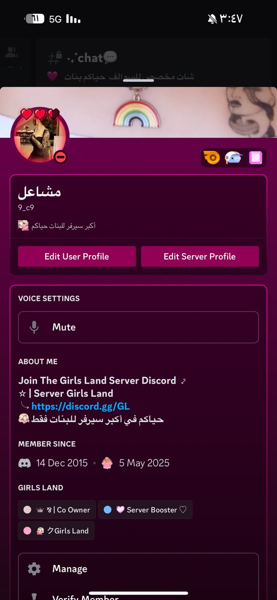 مشاعل. tweet media