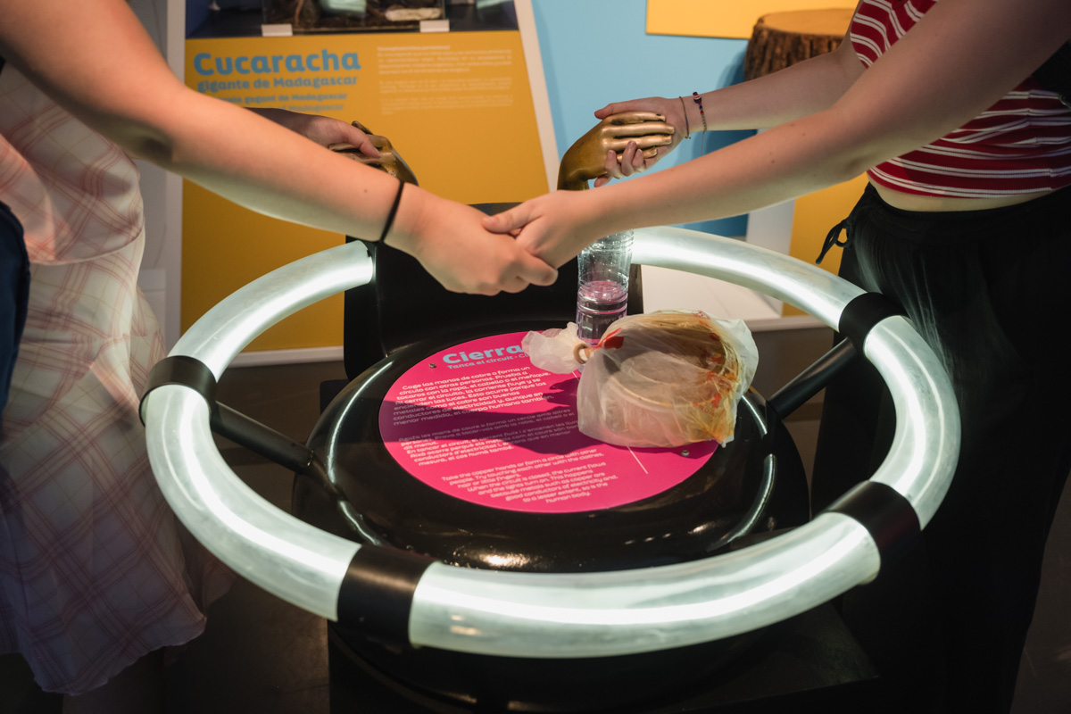 CACiencies's tweet image. Esta exposición funciona como una invitación a lo que puedes descubrir dentro del #MuseudelesCiències

Módulos interactivos y expositivos en una zona gratuita para mostrar la ciencia y el conocimiento de forma lúdica

#Gratis #CONCIENCYARTE